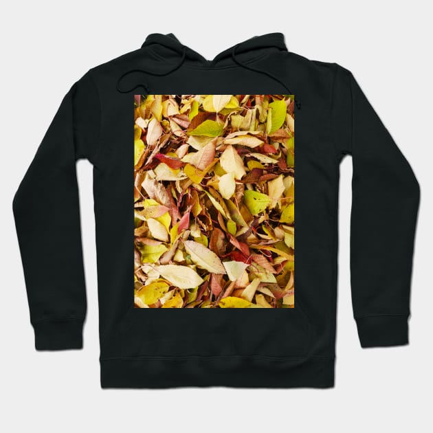 Autumn pattern Hoodie by Kate-P-